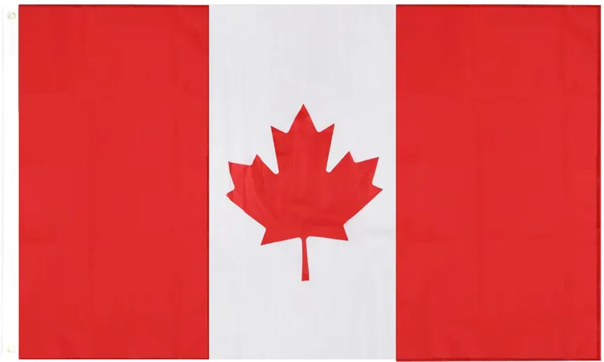 Canadian flag — study in Canada