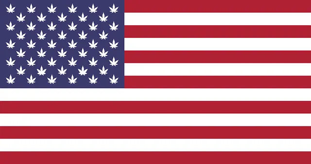 United States flag — study in the USA